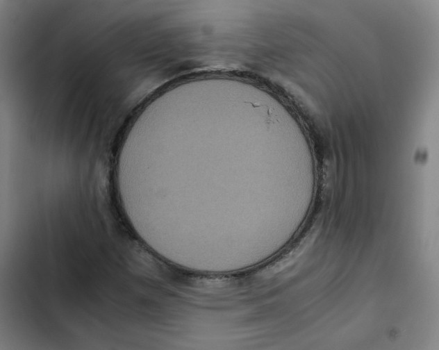 X0000102341257200808291129