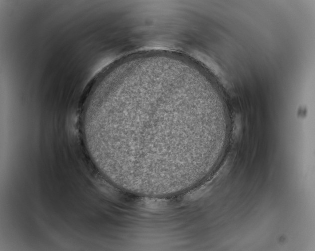 X0000102341258200808291129