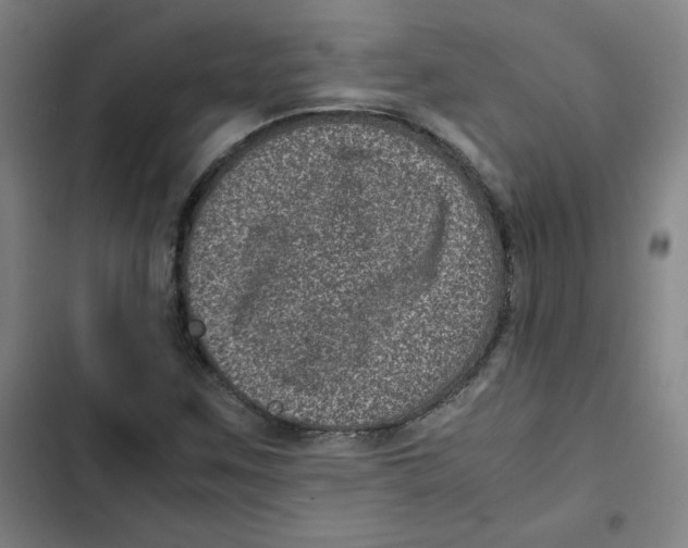 X0000102341259200808291129