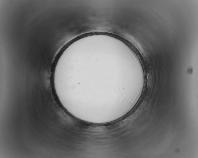 X0000102341260200808291129