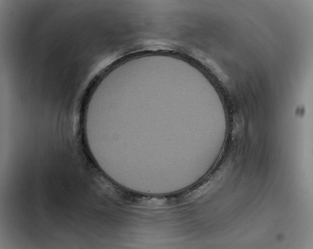 X0000102341261200808291129