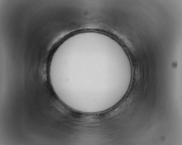 X0000102341262200808291129