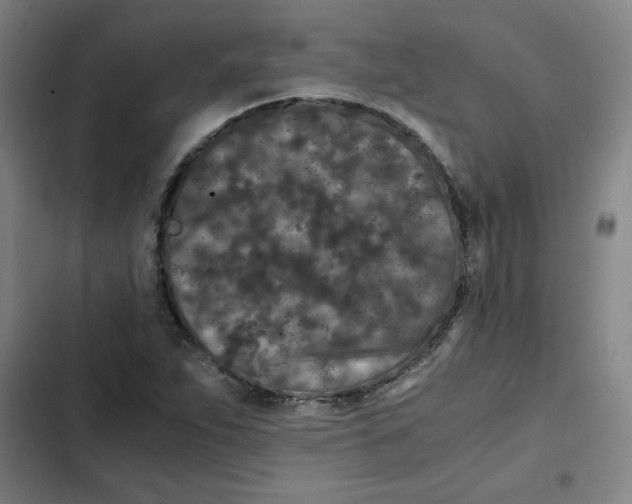 X0000102341263200808291129