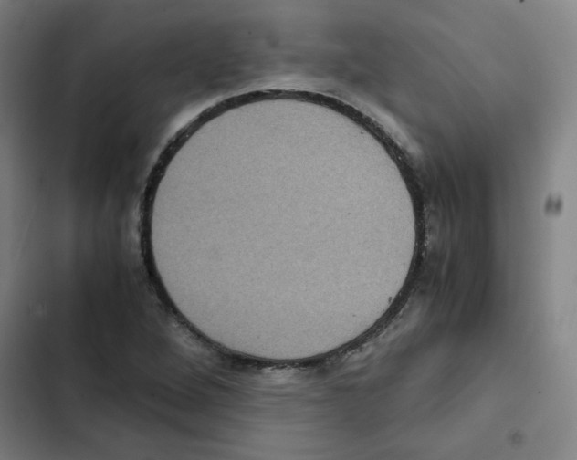 X0000102341264200808291129