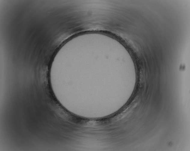 X0000102341265200808291129