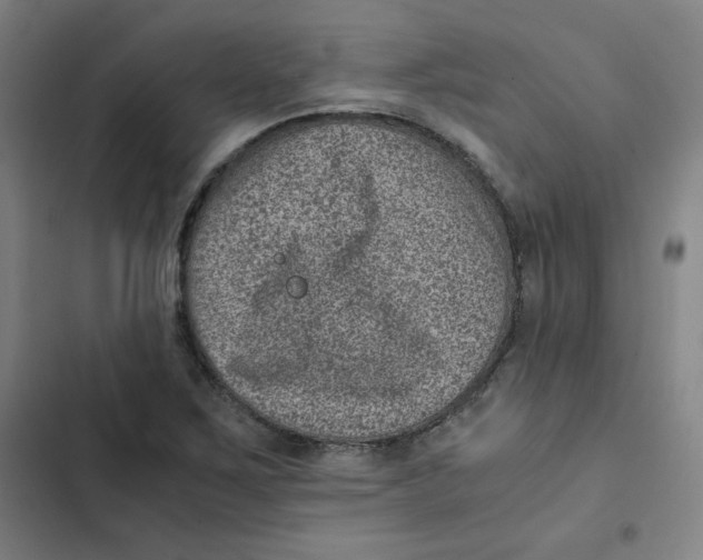 X0000102341267200808291129