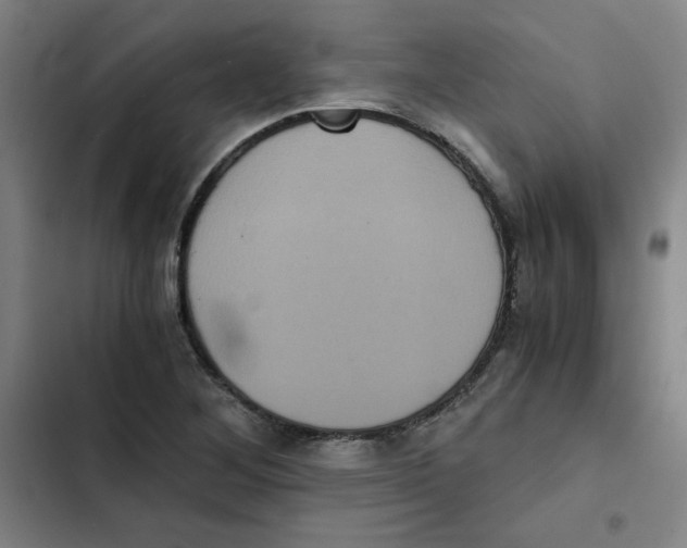 X0000102341268200808291128