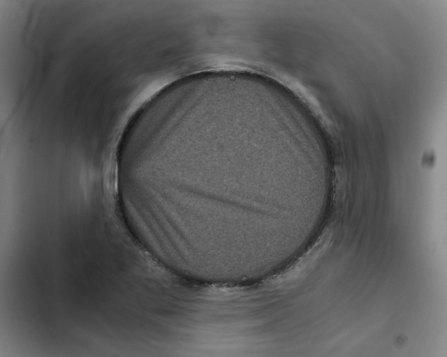 X0000102341269200808291128