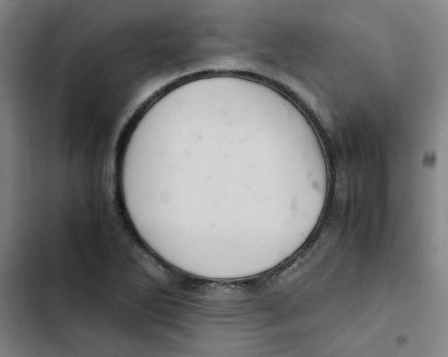 X0000102341270200808291128