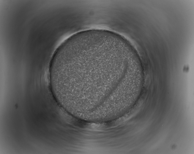 X0000102341271200808291128