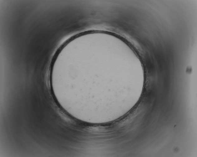 X0000102341272200808291128