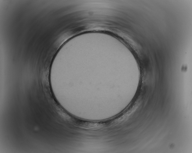 X0000102341273200808291128