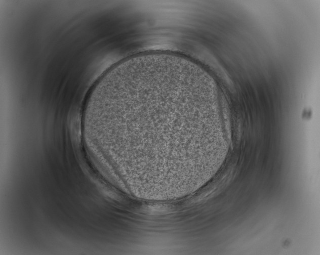 X0000102341274200808291128