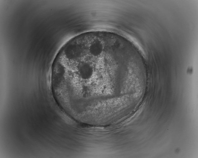 X0000102341275200808291128