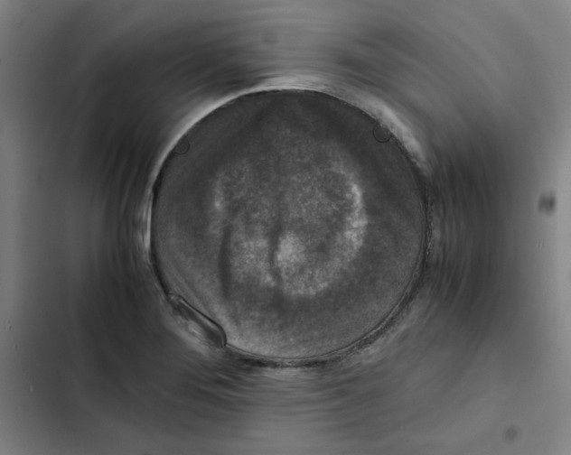 X0000102341276200808291128