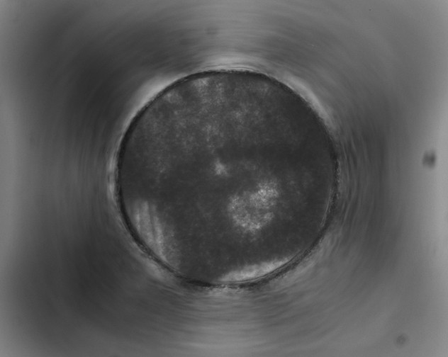 X0000102341277200808291128