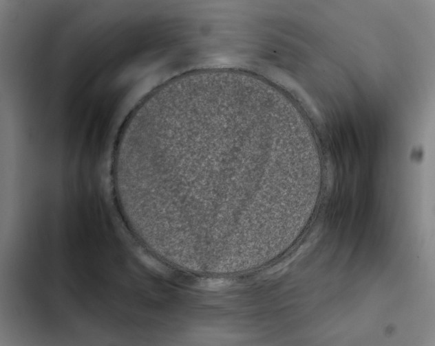 X0000102341278200808291128
