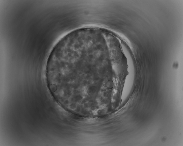 X0000102341279200808291128