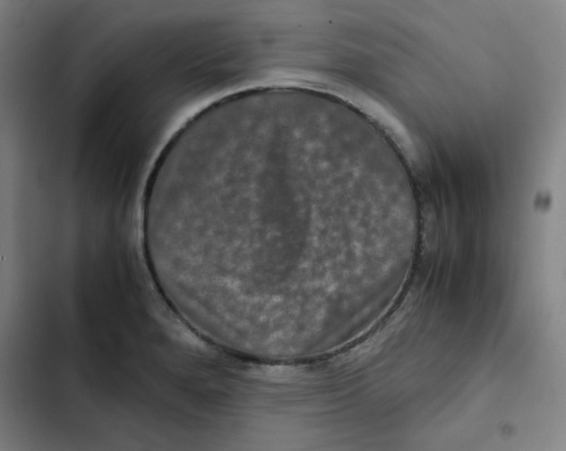 X0000102341280200808291128