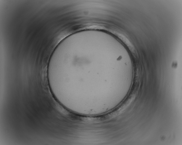 X0000102341281200808291128