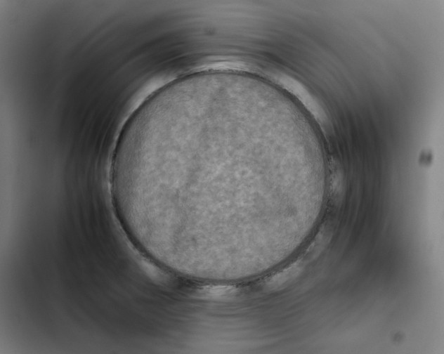X0000102341282200808291128
