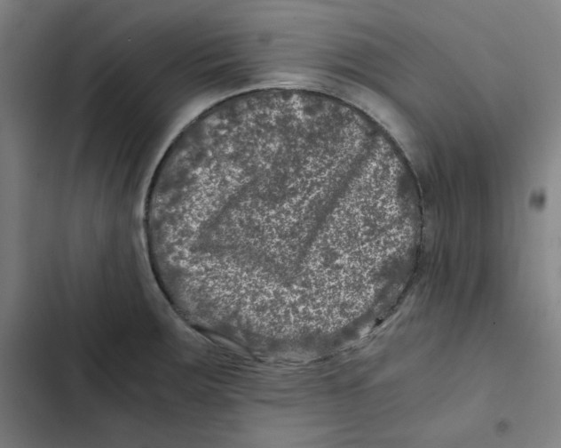 X0000102341283200808291128