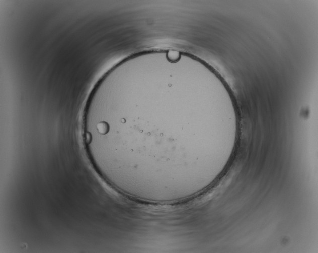 X0000102341285200808291128