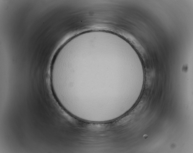 X0000102341286200808291128
