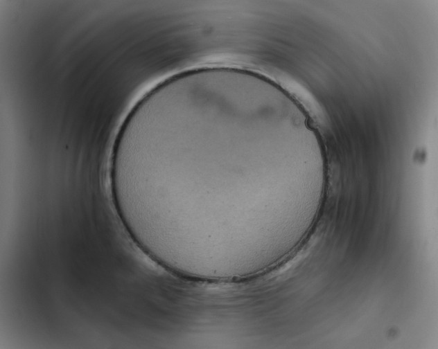 X0000102341288200808291128