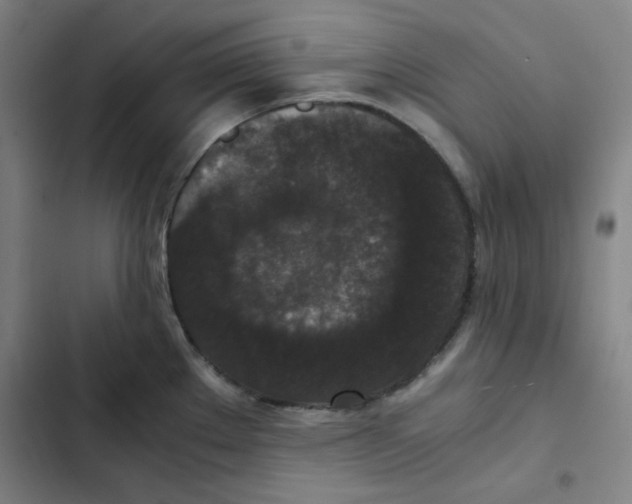 X0000102341289200808291128