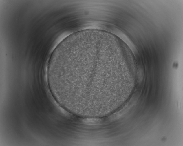 X0000102341290200808291128