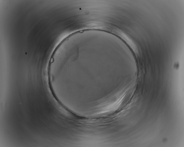 X0000102341291200808291128