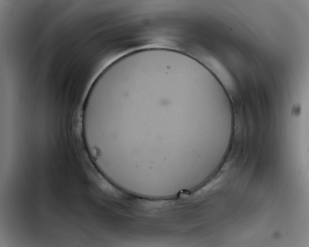 X0000102341292200808291128
