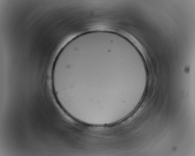 X0000102341293200808291128