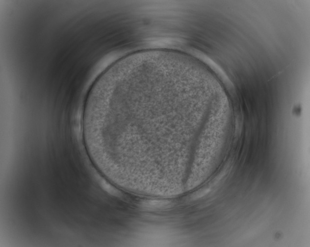 X0000102341294200808291128
