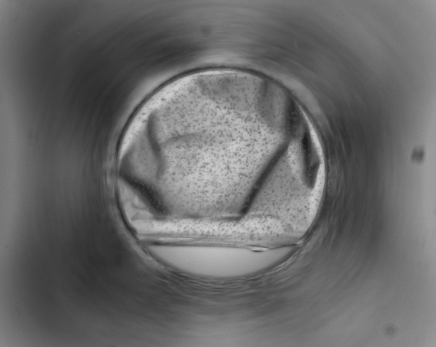 X0000102341295200808291128