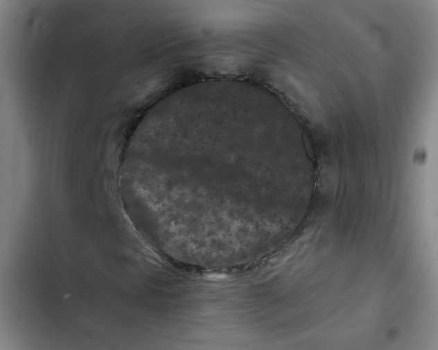 X0000102341297200808291127