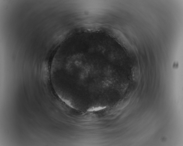 X0000102341298200808291127