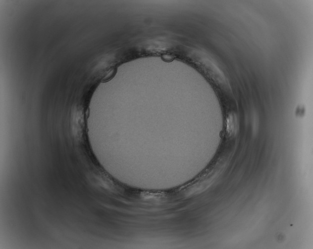 X0000102341299200808291127