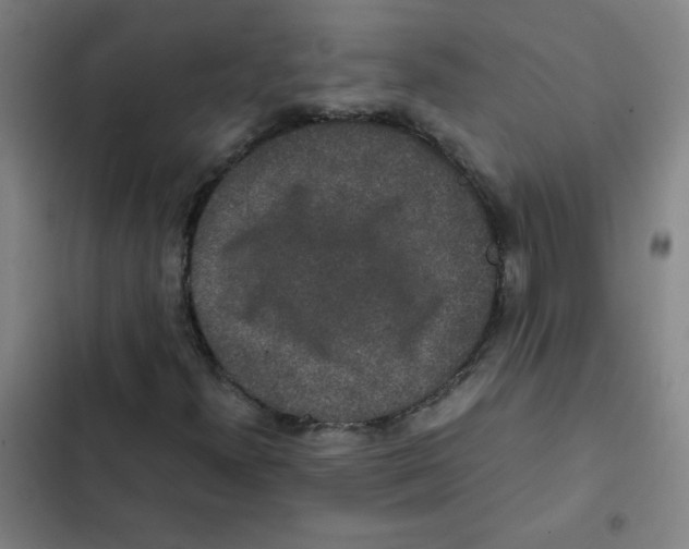 X0000102341300200808291127