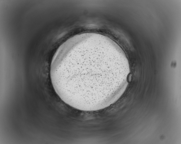 X0000102341301200808291127