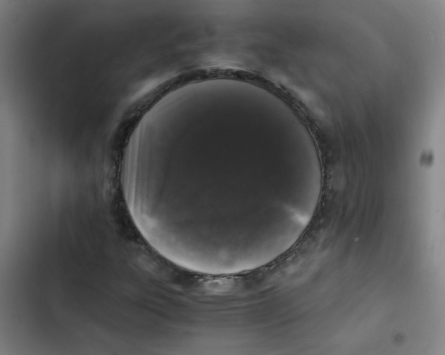 X0000102341303200808291127