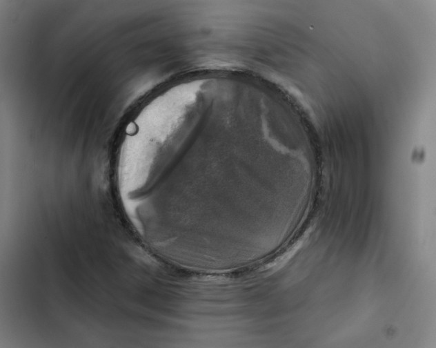 X0000102341306200808291127