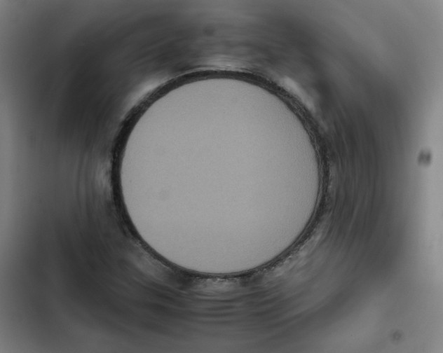 X0000102341307200808291127