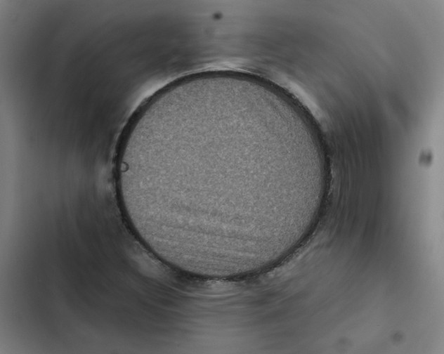X0000102341308200808291127