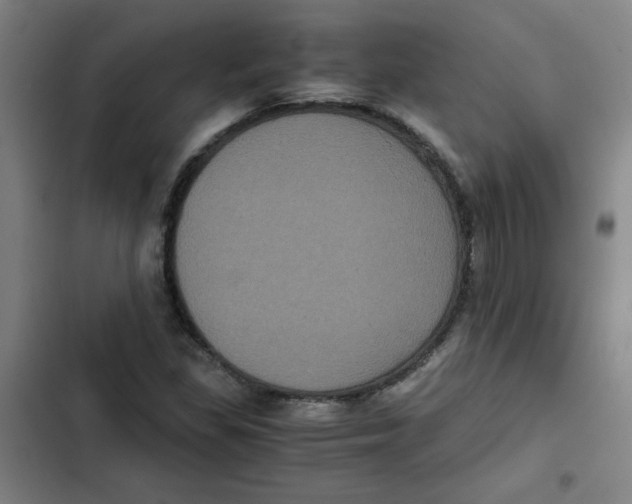 X0000102341309200808291127