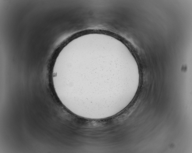 X0000102341311200808291127