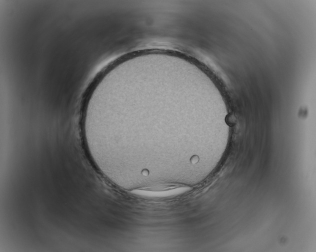 X0000102341312200808291127
