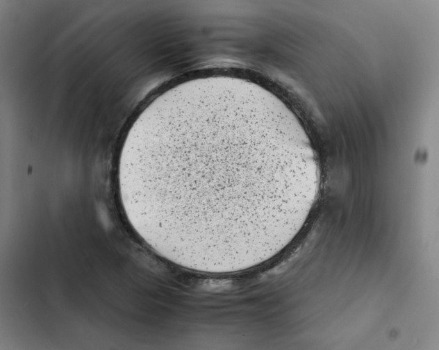 X0000102341313200808291127