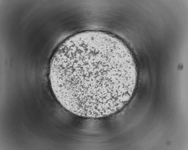 X0000102341314200808291128